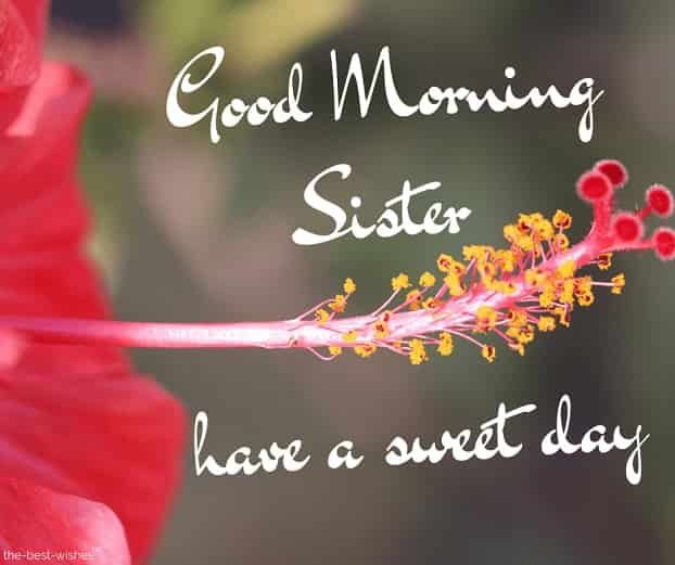 Lovely good morng wishes and greetgs for sister good morng sister images good morng sister good morng sister quotes