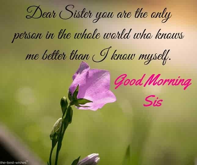 Lovely good morning wishes for sister hd images and greetings good morning sister quotes good morning sister images good morning messages