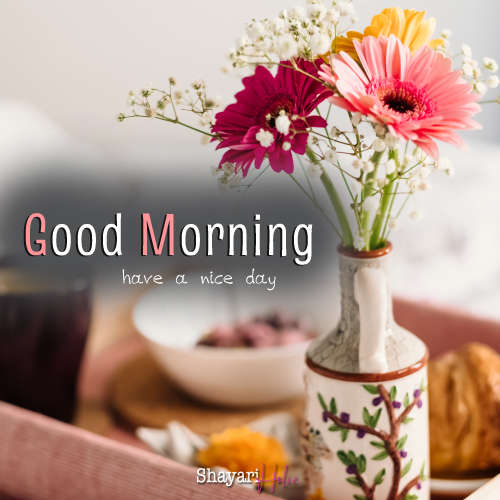 Download Free 100 + good morning wishes Wallpapers