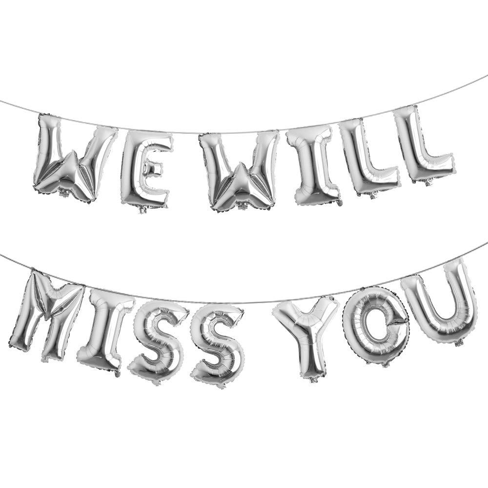 Farewell party decorations supplies we will miss you balloon banner kit going away party goodbye retirement office work party office work graduation decorations we will miss you silver buy online at