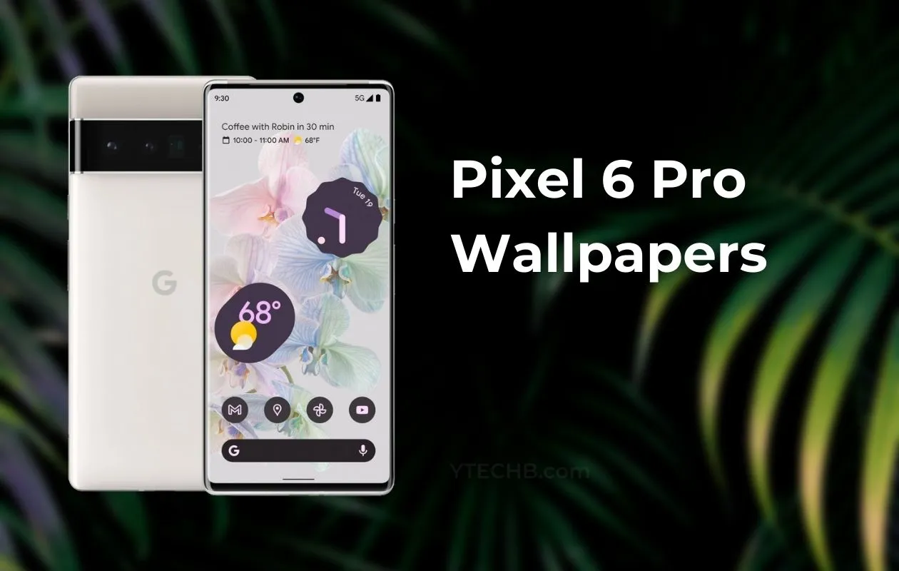 Download google pixel pro wallpapers qhd official