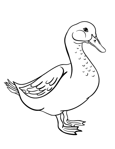 Free goose coloring page