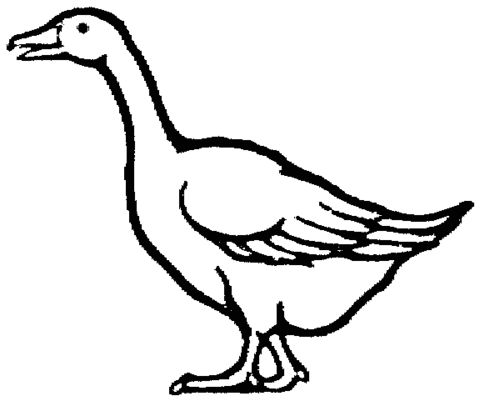 Domestic goose coloring page free printable coloring pages coloring pages for kids coloring pages super coloring pages