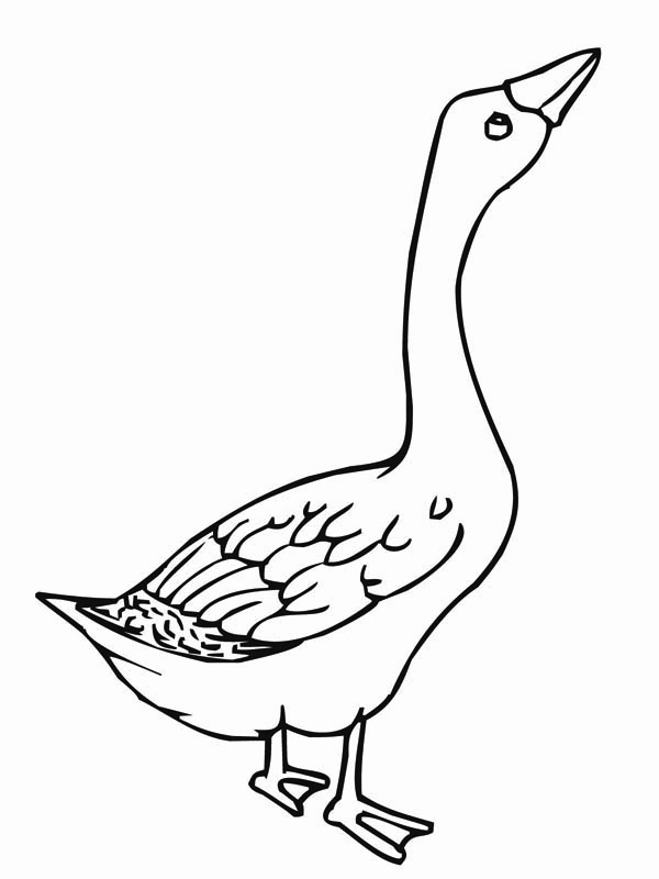 Geese coloring pages