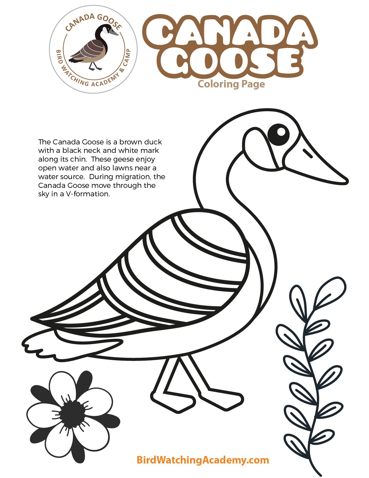 Canada goose coloring page