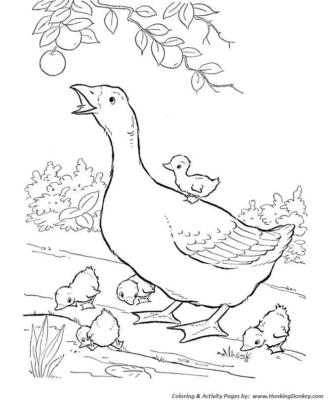 Farm animal coloring pages printable geese coloring page and kids activity sheet