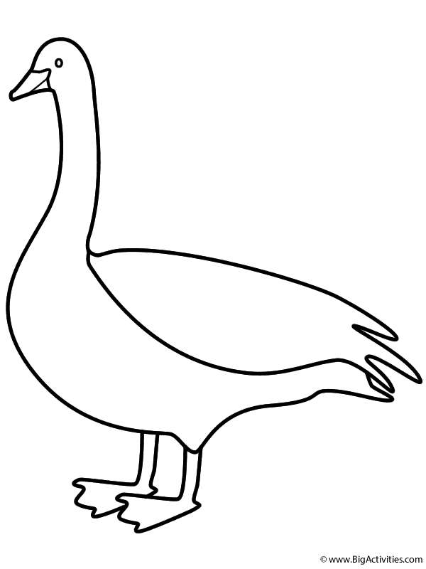 Goose