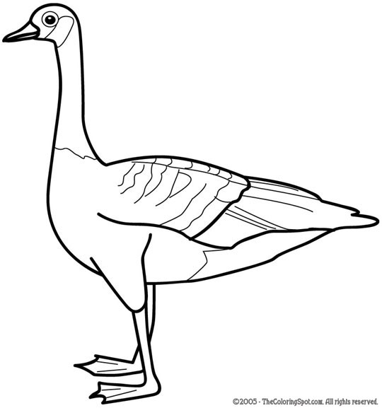 Goose coloring page audio stories for kids free coloring pages colouring printables