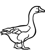 Goose coloring pages free coloring pages