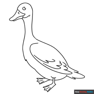 Goose coloring page easy drawing guides