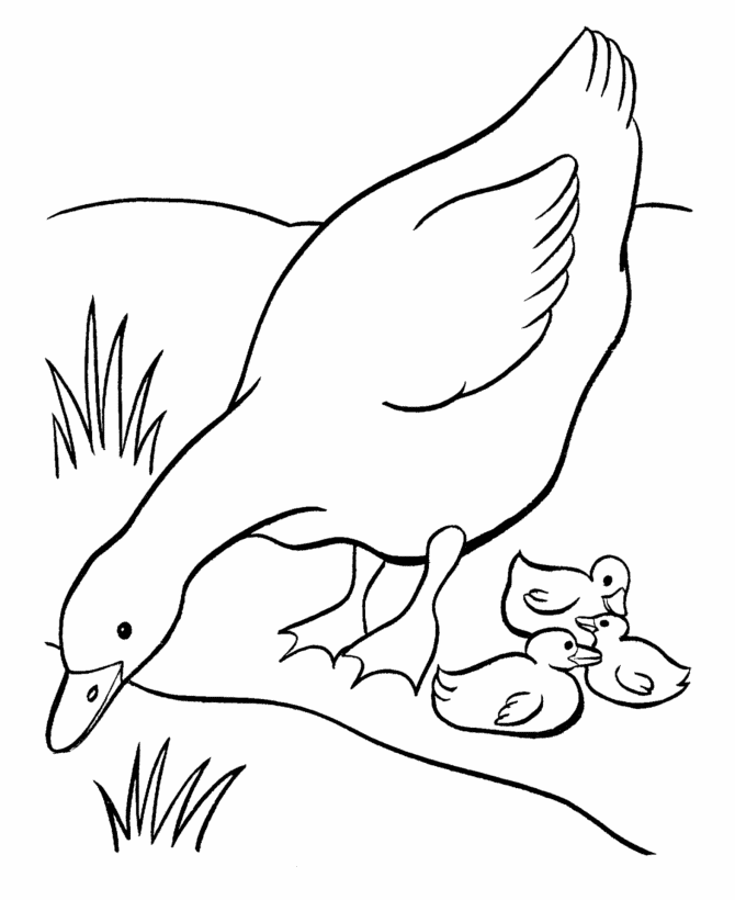 Bluebonkers free printable easter geese coloring page sheets