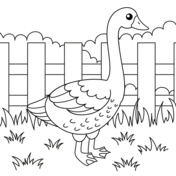 Goose coloring pages free coloring pages