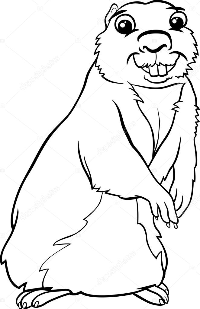 Gopher animal cartoon coloring page stock vector by izakowski