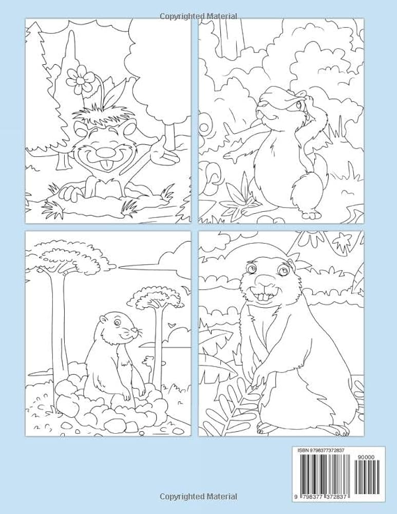 Gopher coloring book amazing coloring pages features kawaii cute animals for all ages relaxation and stress relief joy rainbow books