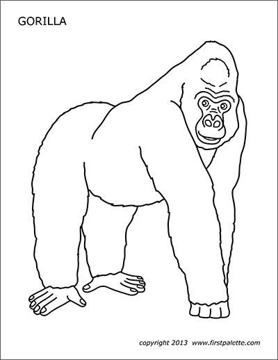 Gorilla free printable templates coloring pages firstpalette animal printables animals wild coloring pages