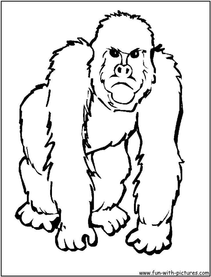 Gorilla coloring page zoo animal coloring pages animal coloring pages african animals