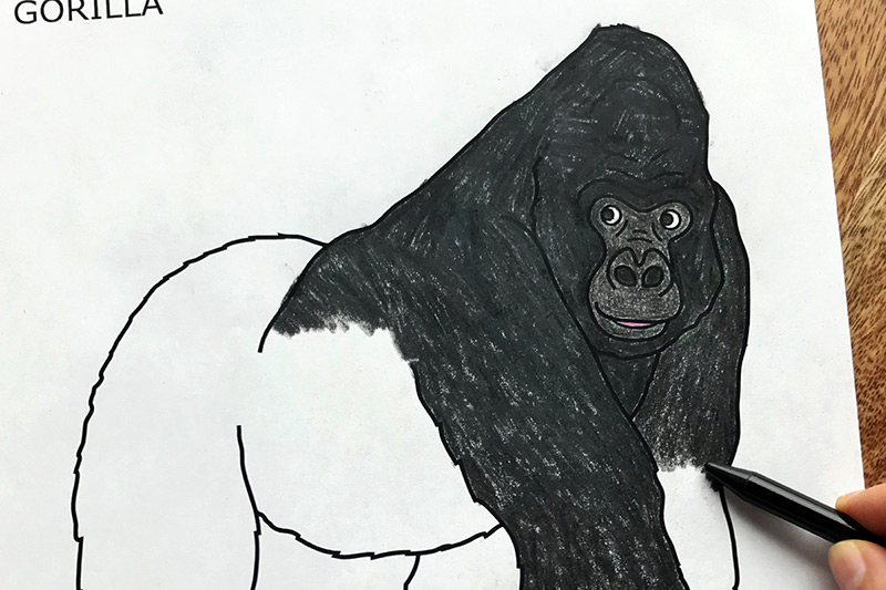 Gorilla free printable templates coloring pages