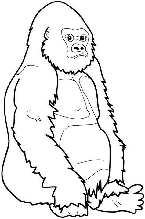 Top strong and great gorilla coloring sheet for all