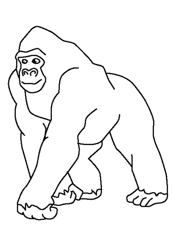 Coloring pages simple gorilla coloring pages