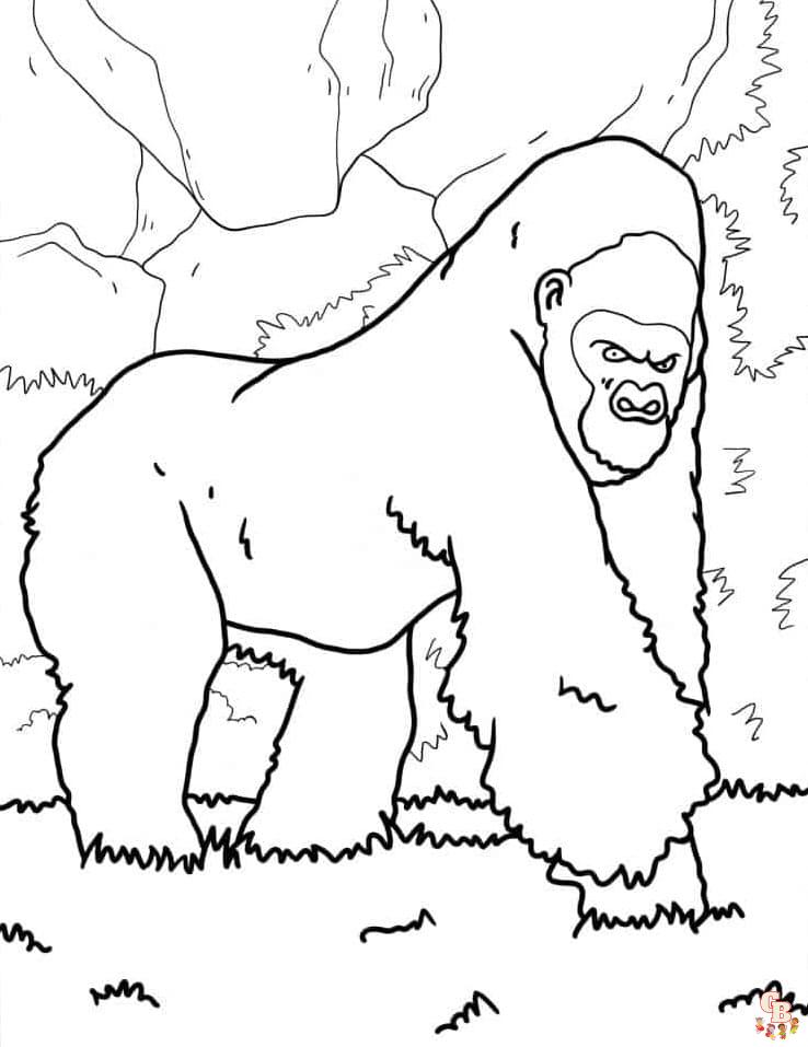 Printable gorillas coloring pages free for kids and adults