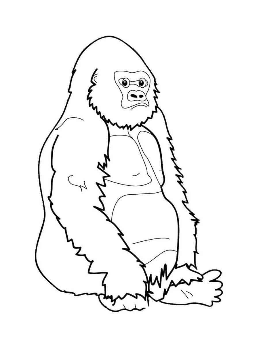 Sitting gorilla coloring page