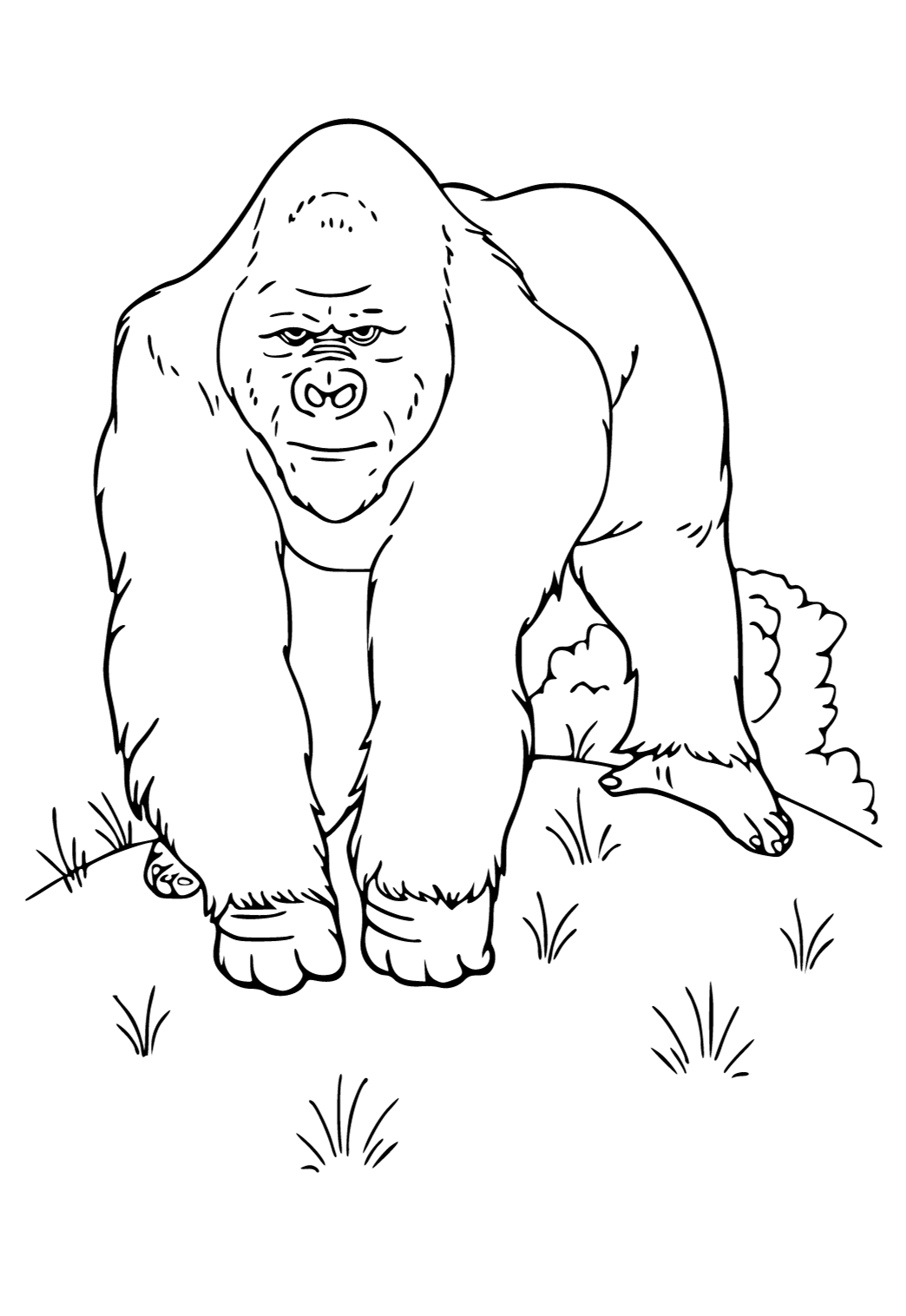 Free printable gorilla nature coloring page for adults and kids