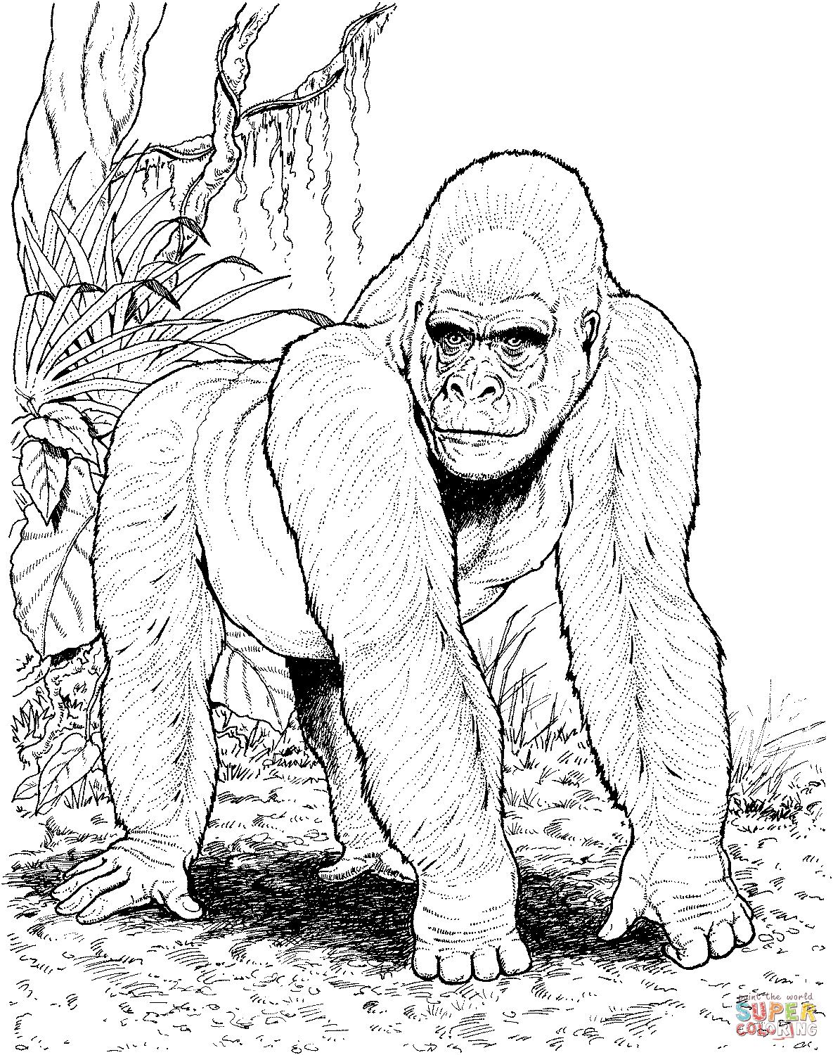 Gorilla in jungle coloring page free printable coloring pages