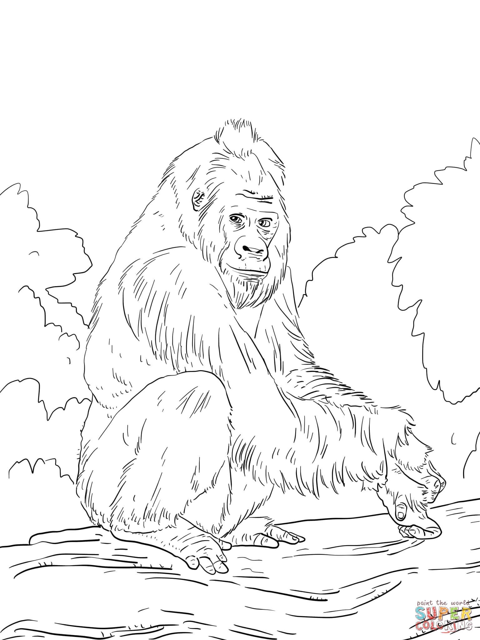 Western lowland gorilla coloring page from gorillas category select from printable crafts of â animal coloring pages coloring pages jungle coloring pages