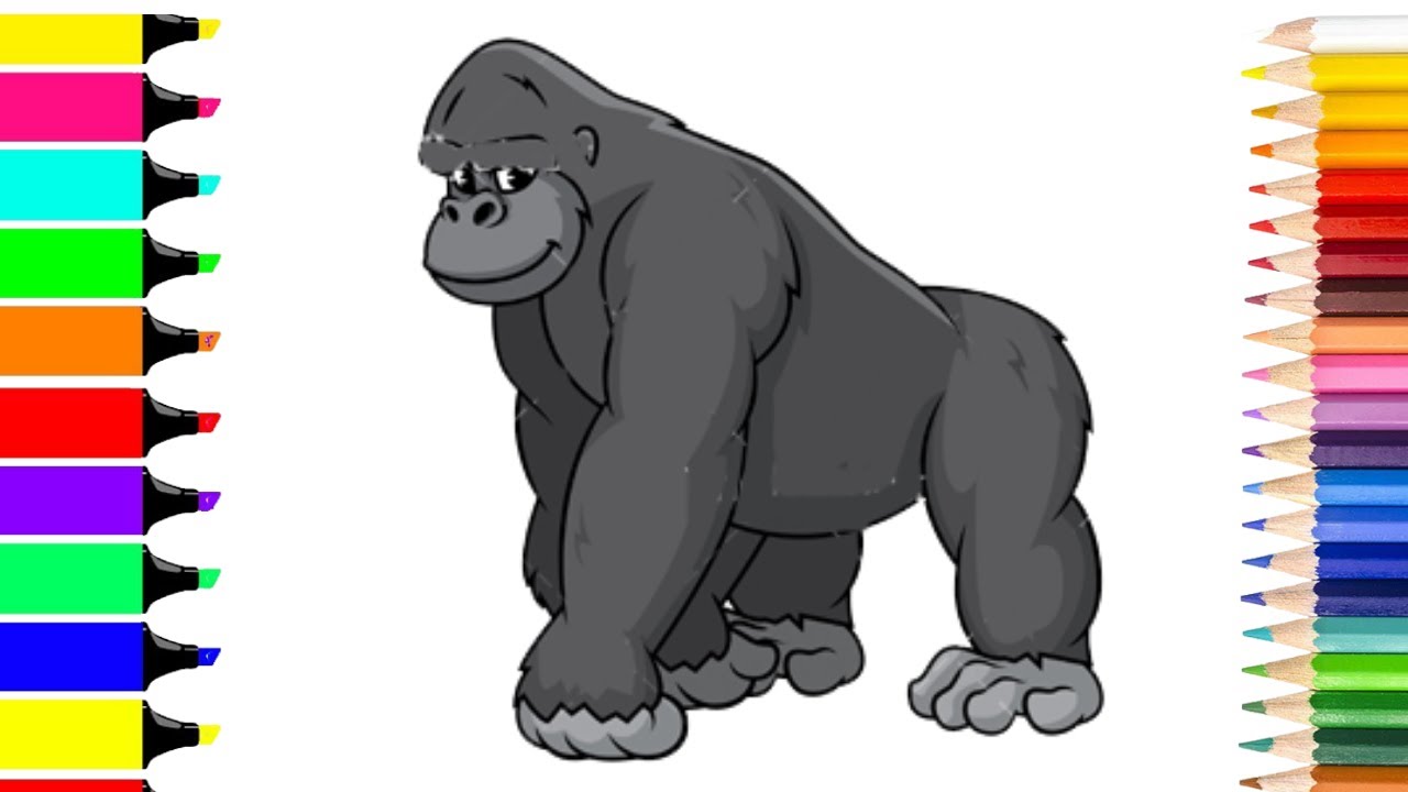 Gorilla drawing for kids gorilla coloring pages animal colouring pages