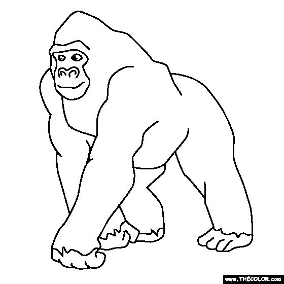 Gorilla coloring page animal coloring pages online coloring pages coloring pages