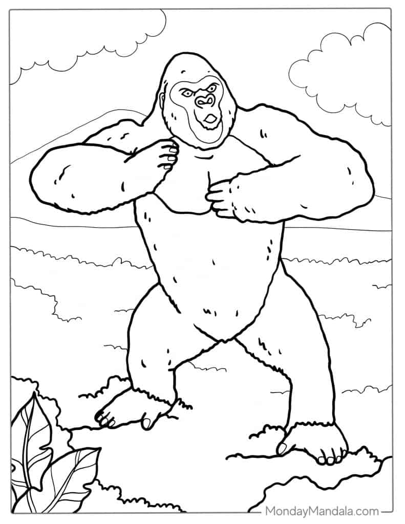 Gorilla coloring pages free pdf printables