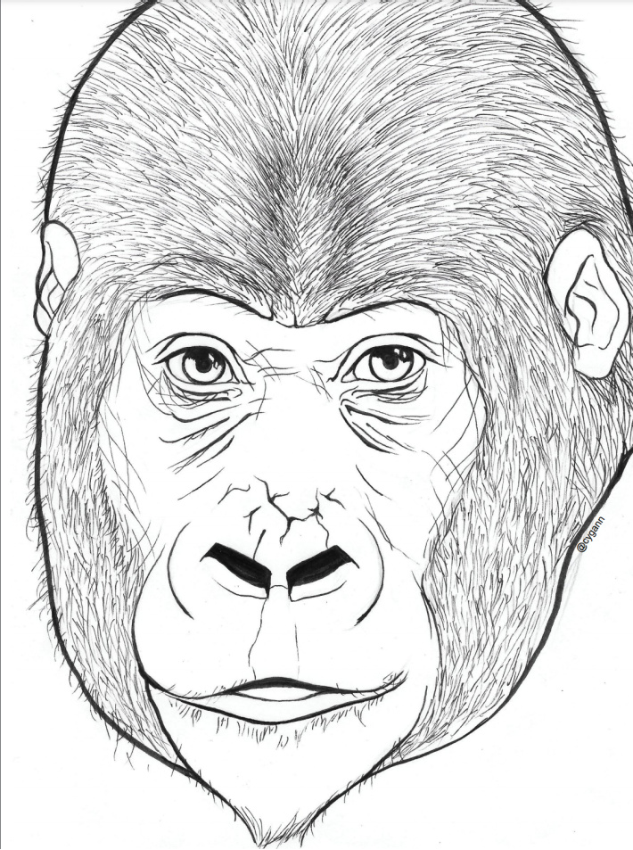 Awesome gorilla coloring pages