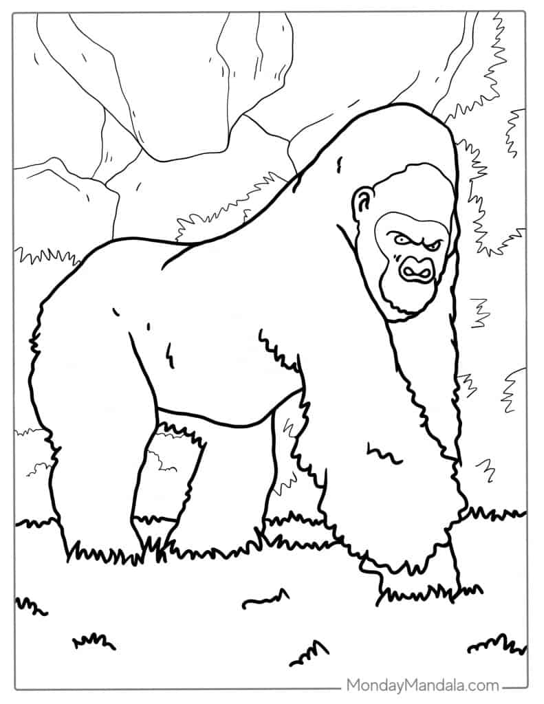 Gorilla coloring pages free pdf printables