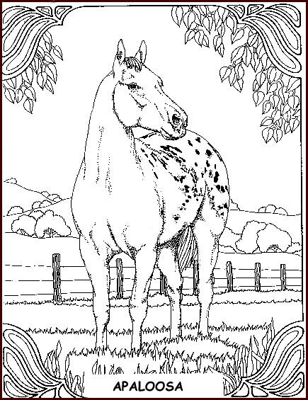 Horse coloring pages adult coloring pages horse coloring