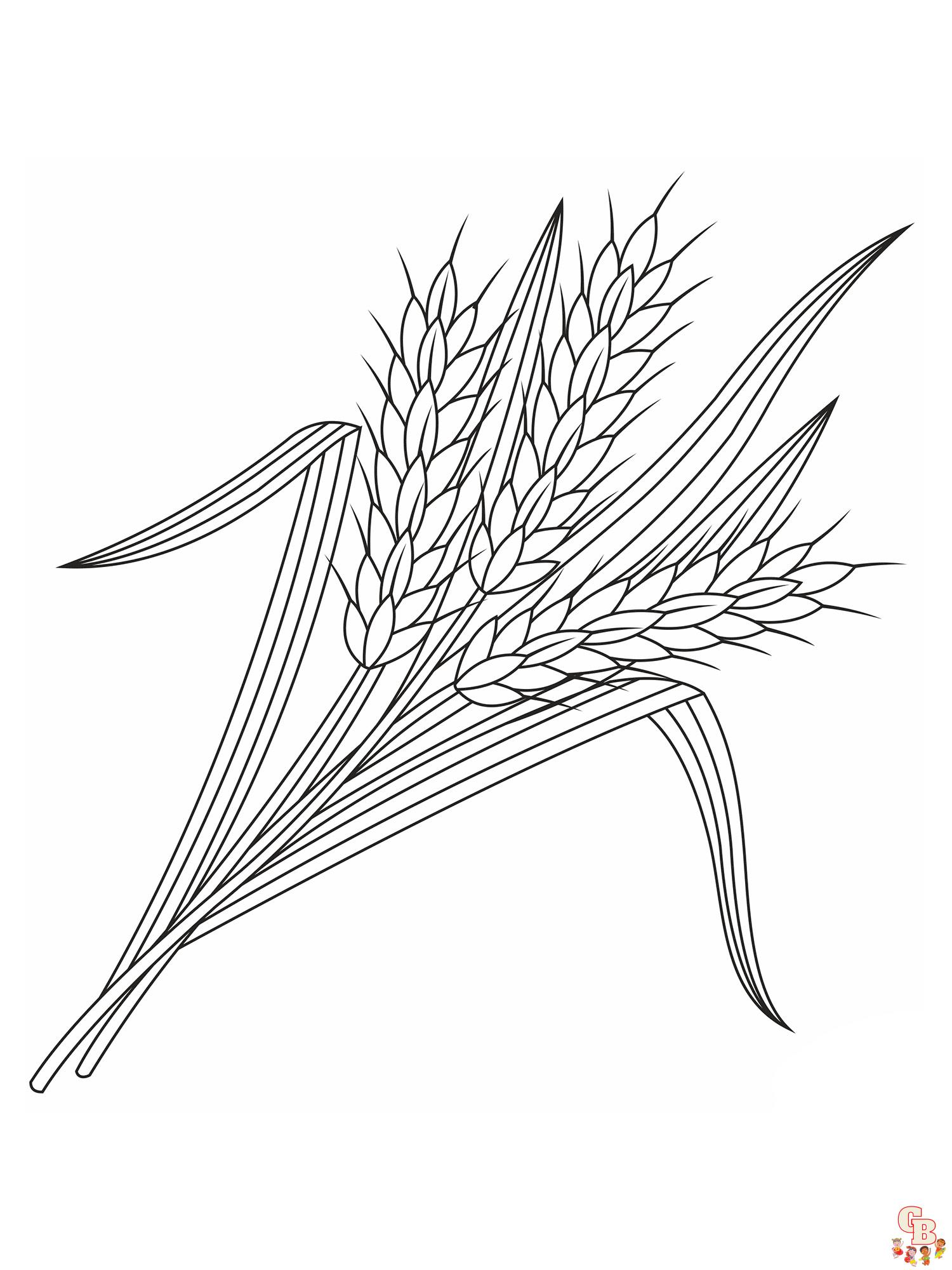 Wheat coloring pages printable and free for kids