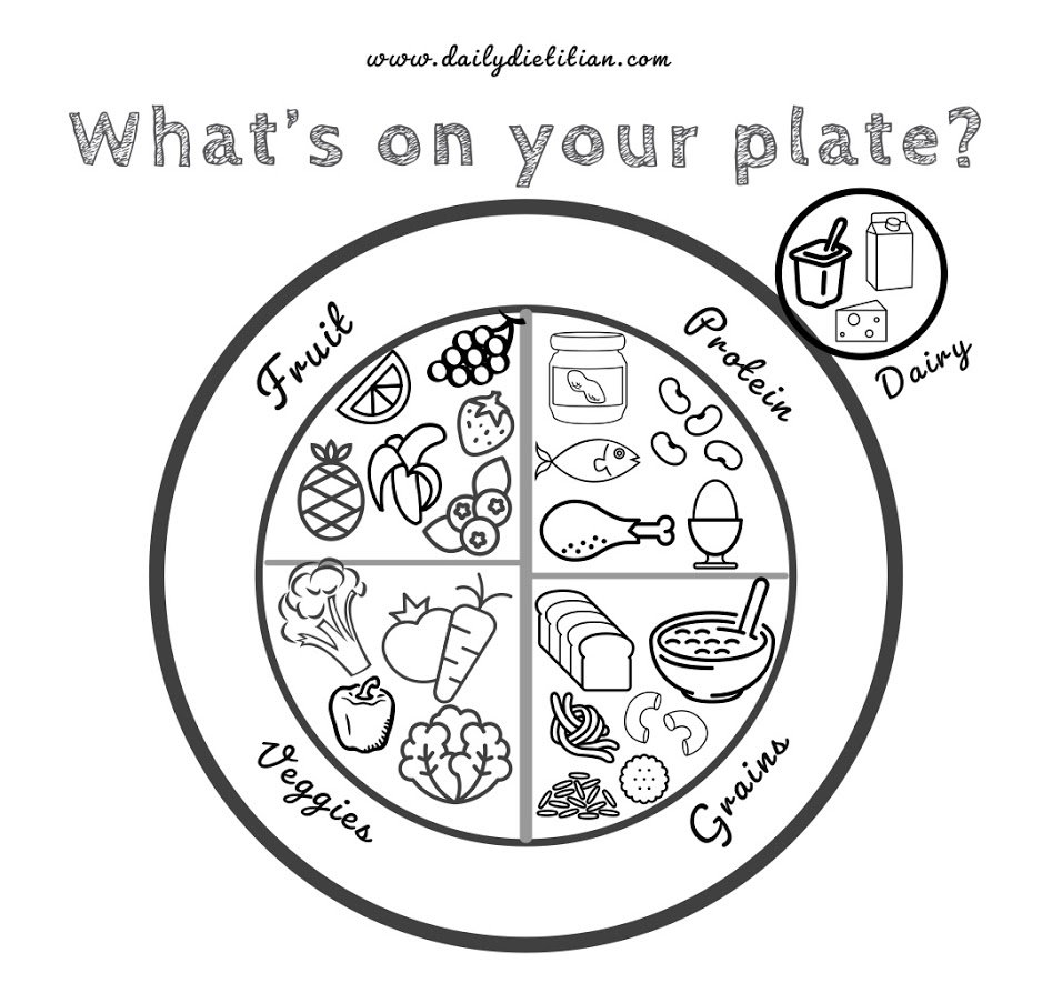 Myplate coloring page â daily dietitian