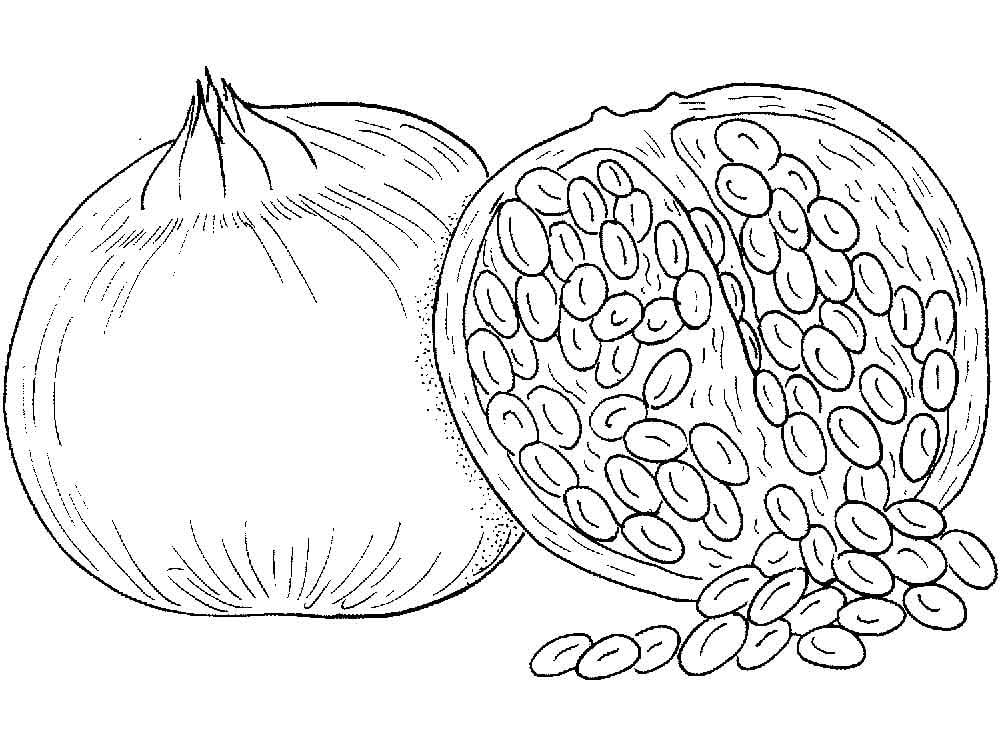 Painting of a pomegranate and grains coloring page