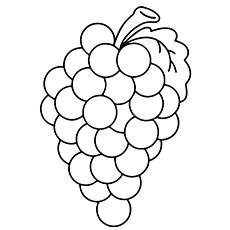 Top free printable lovely grapes coloring pages online