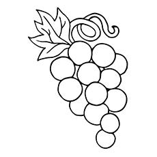 Top free printable lovely grapes coloring pages online