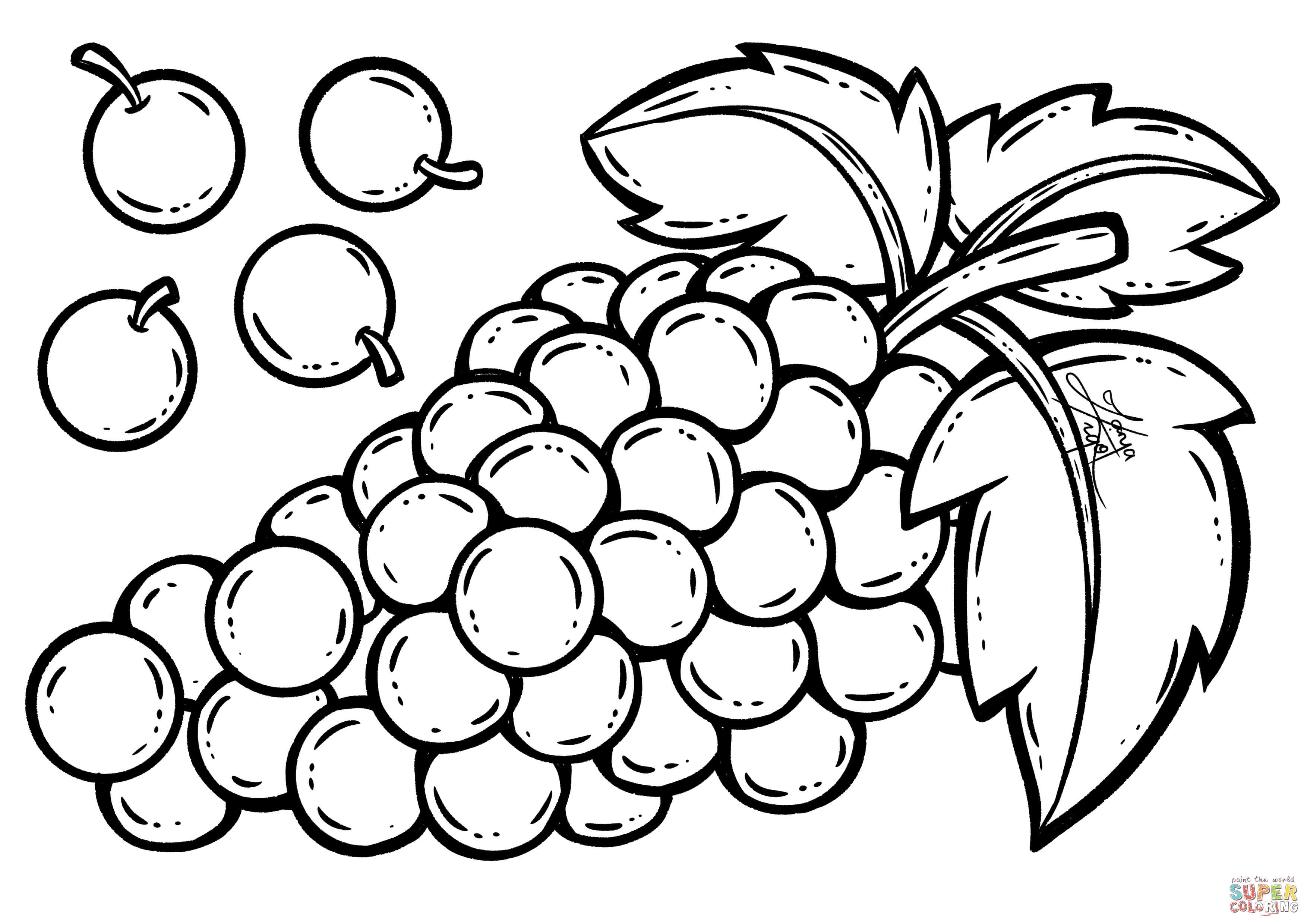 Grape coloring page free printable coloring pages