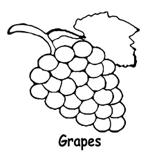 Top free printable lovely grapes coloring pages online