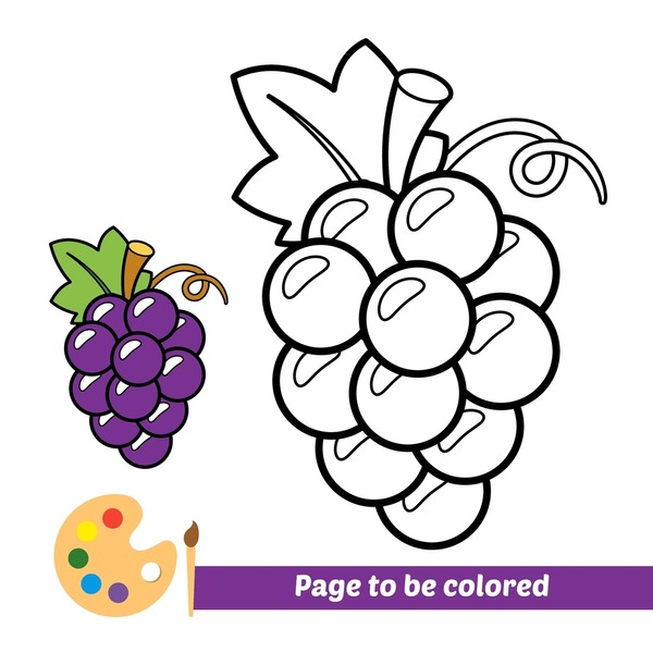 Thousand coloring pages grapes royalty