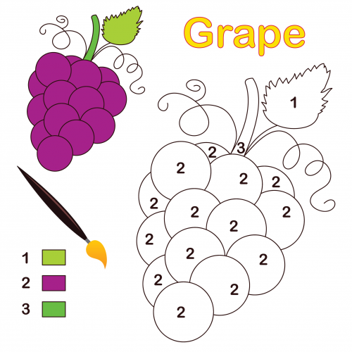 Grape color by number coloring page