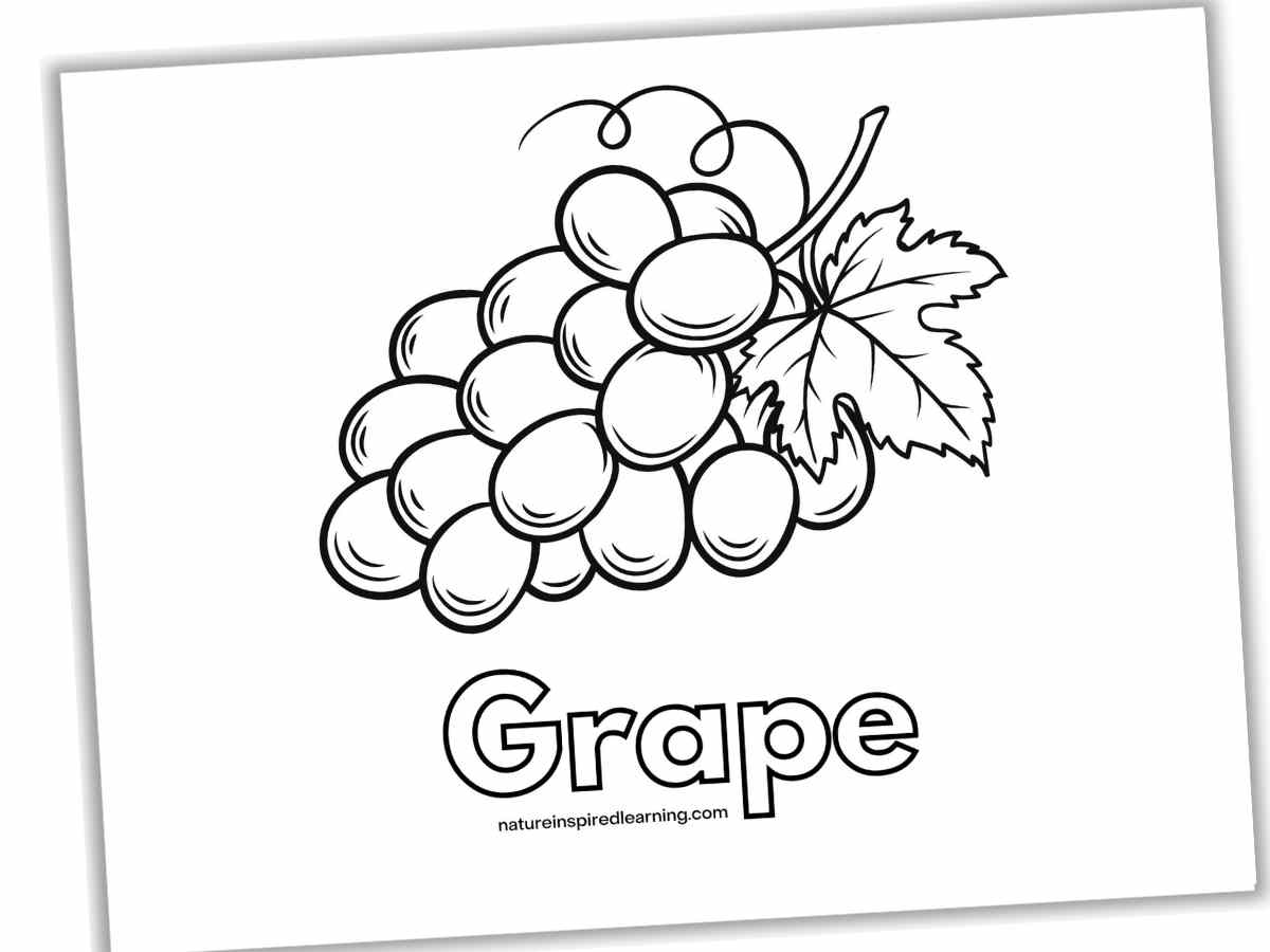 Grape coloring pages