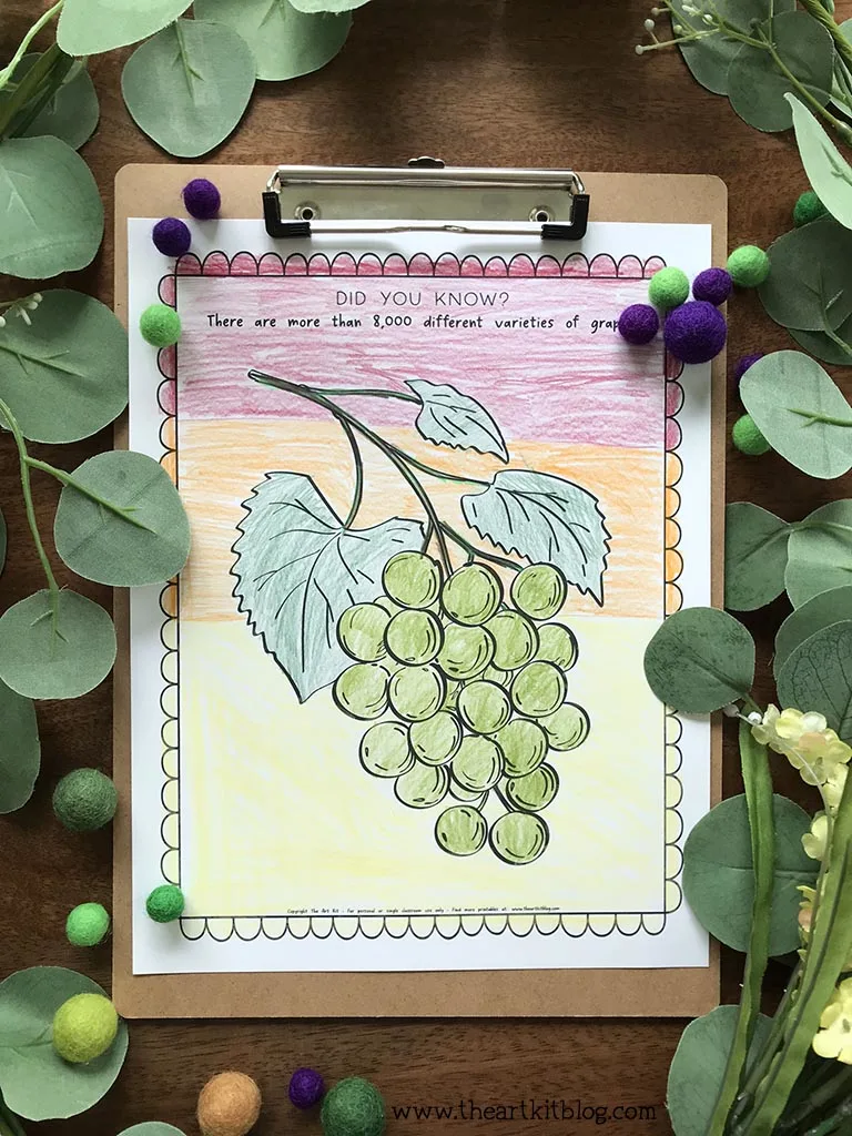 Free printable download grape coloring page with fun fact â the art kit