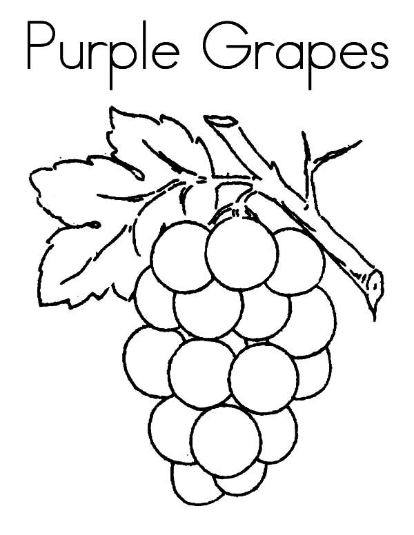 Grapes coloring pages