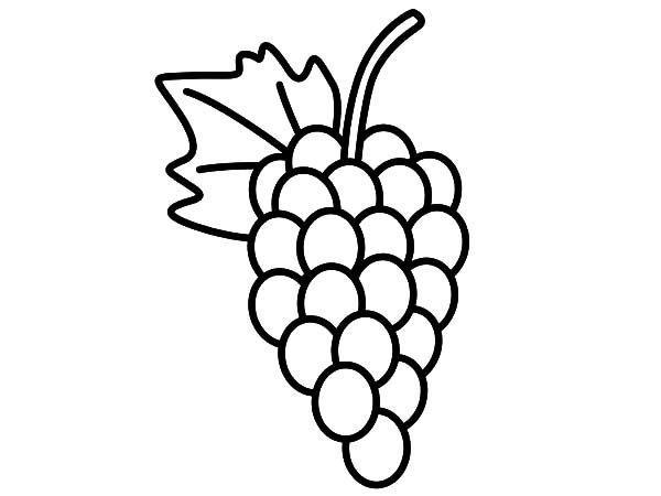 Delicious fruit grapes coloring pages color luna coloring pages grapes delicious fruit