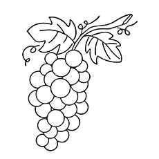 Top free printable lovely grapes coloring pages online