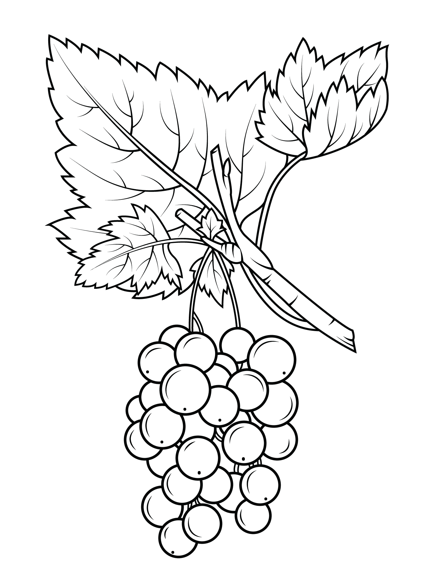 Grapes coloring pages