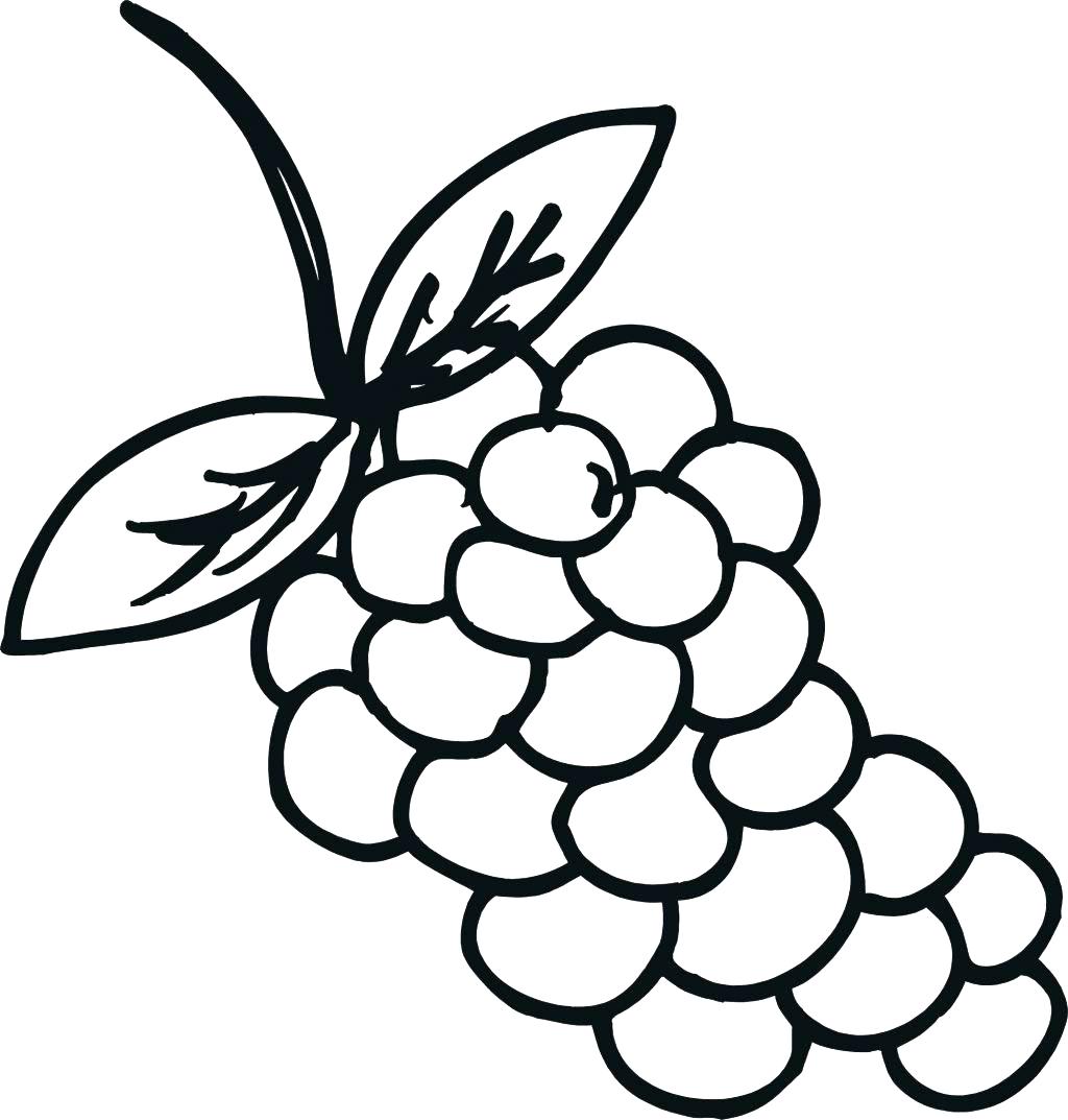 Coloring pages print grapes coloring page